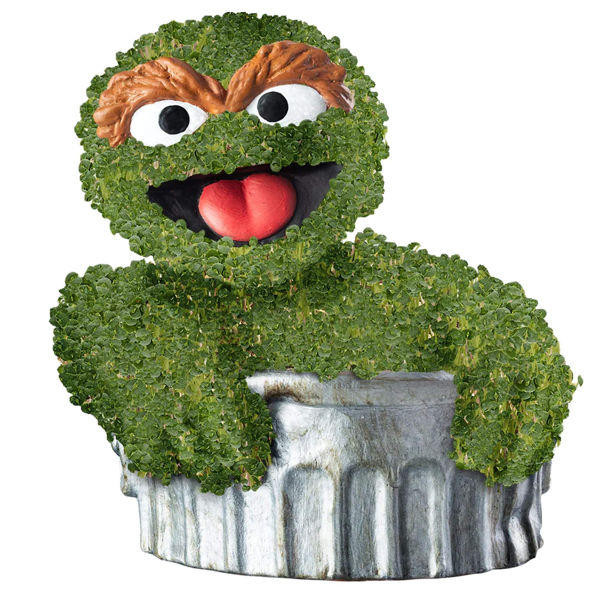 Oscar the Grouch Chia Pet
