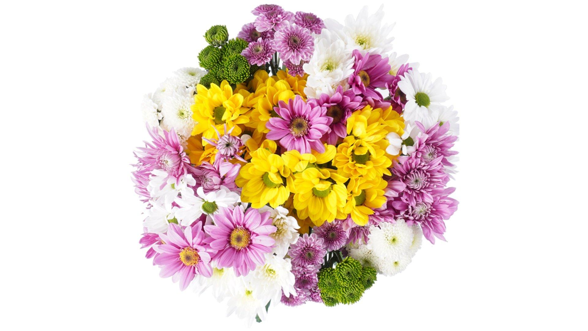 Darling Daisies Flower Bouquet (12 ct)