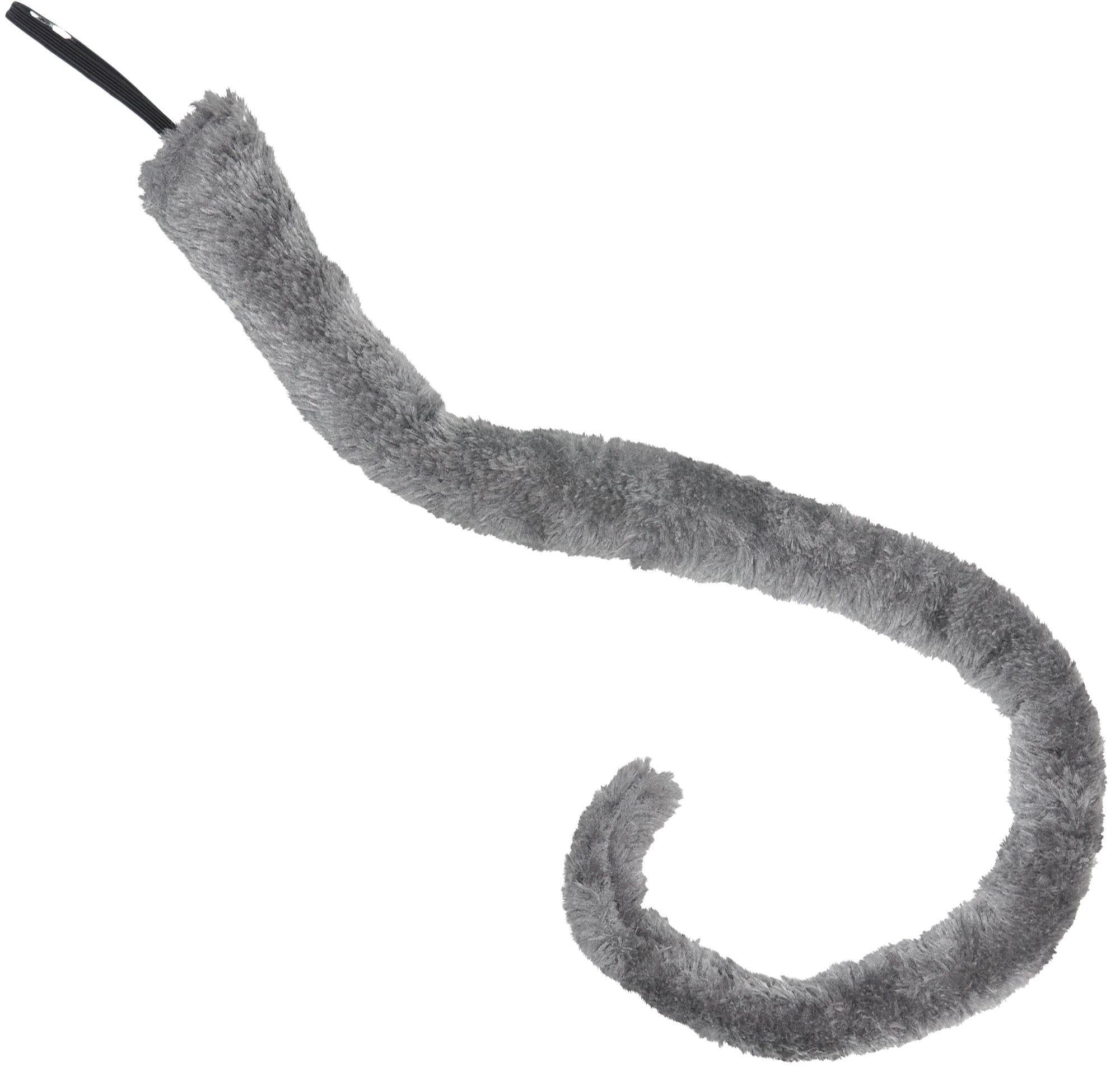 Gray Mouse Tail