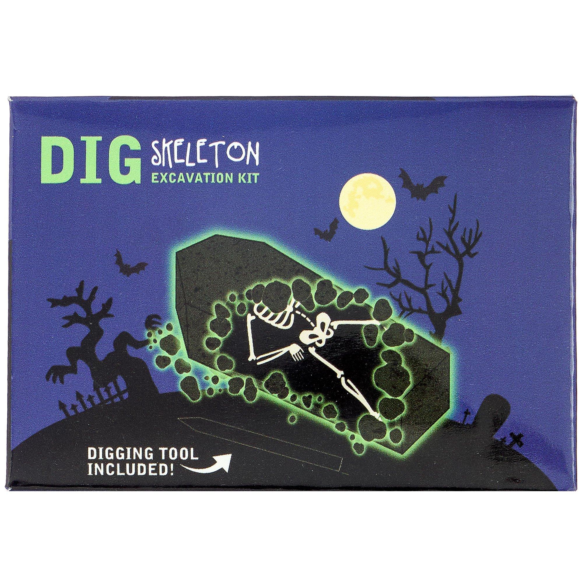 Skeleton in Coffin Excavation Kit
