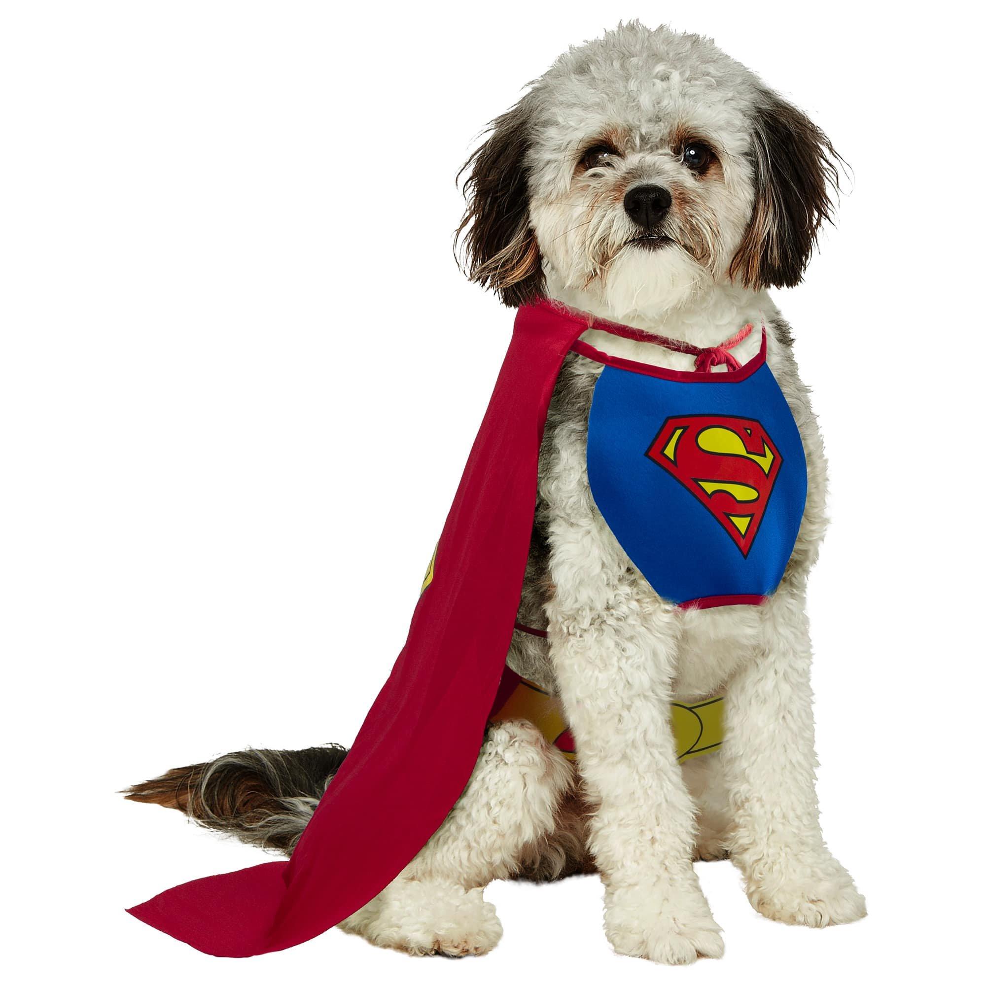 Superman Costume for Dogs