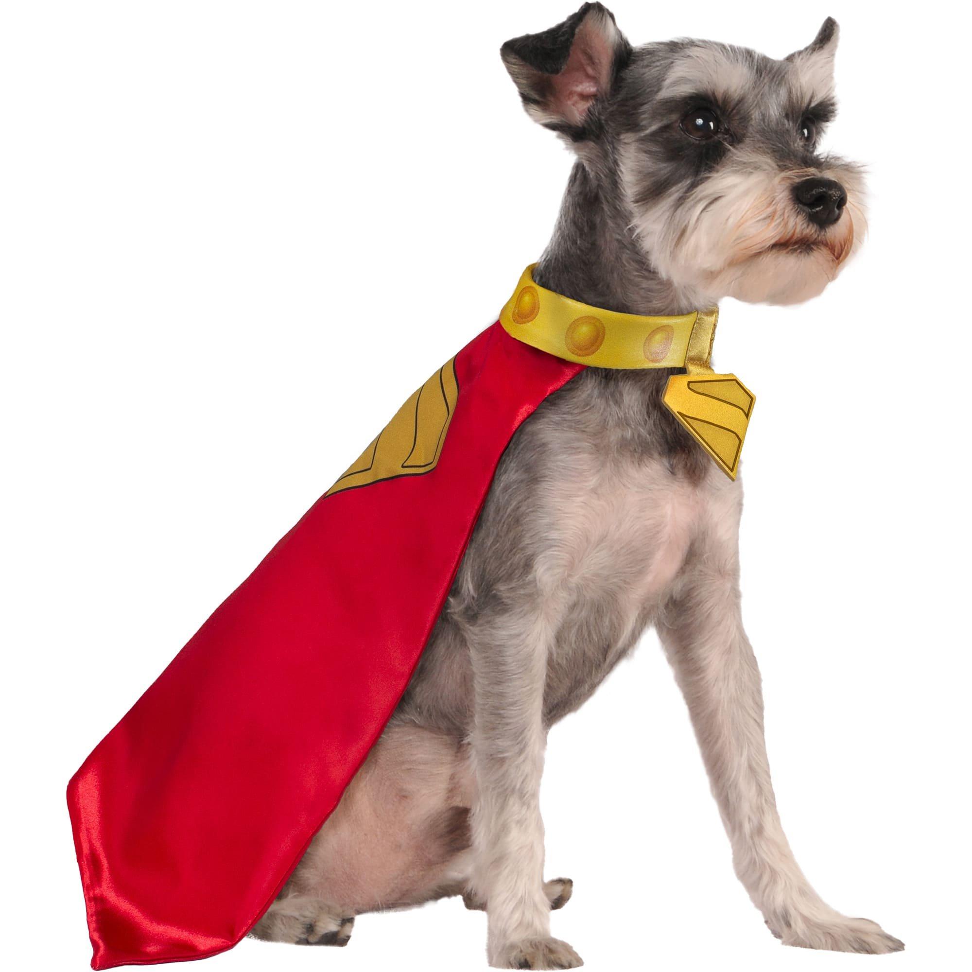 Krypto Pet Cape and Collar