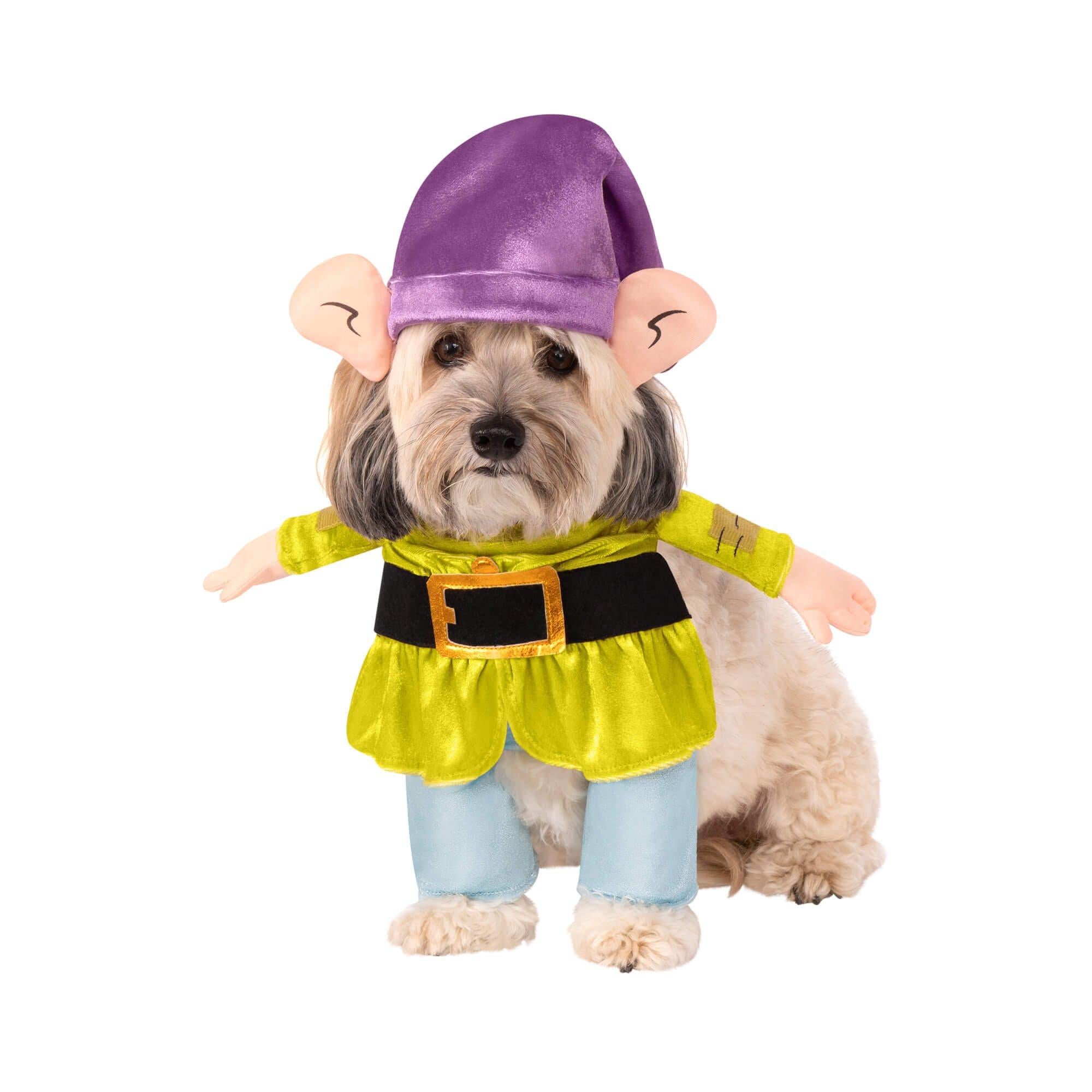 Snow White Dopey Walking Pet Costume
