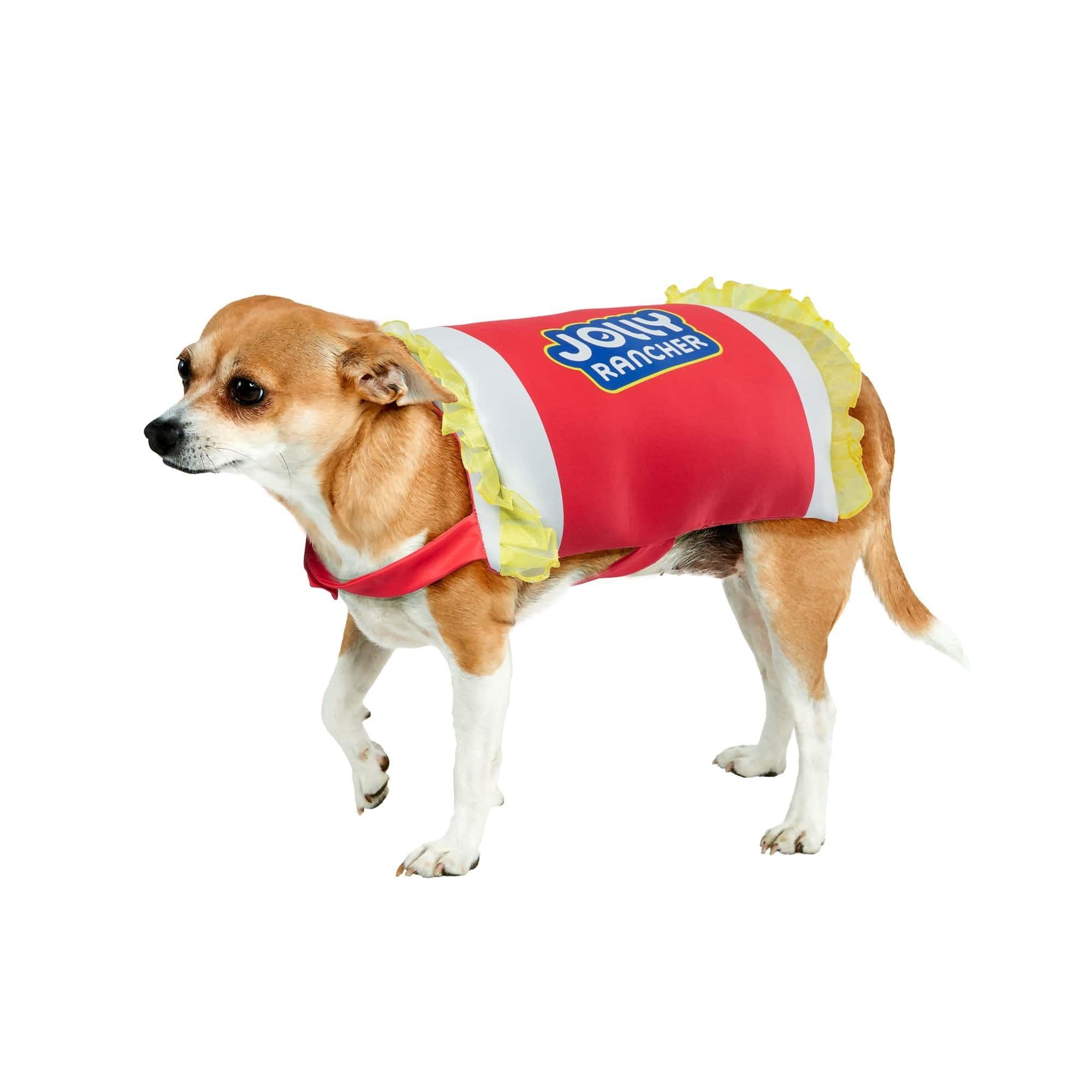 Cherry Jolly Rancher Pet Costume
