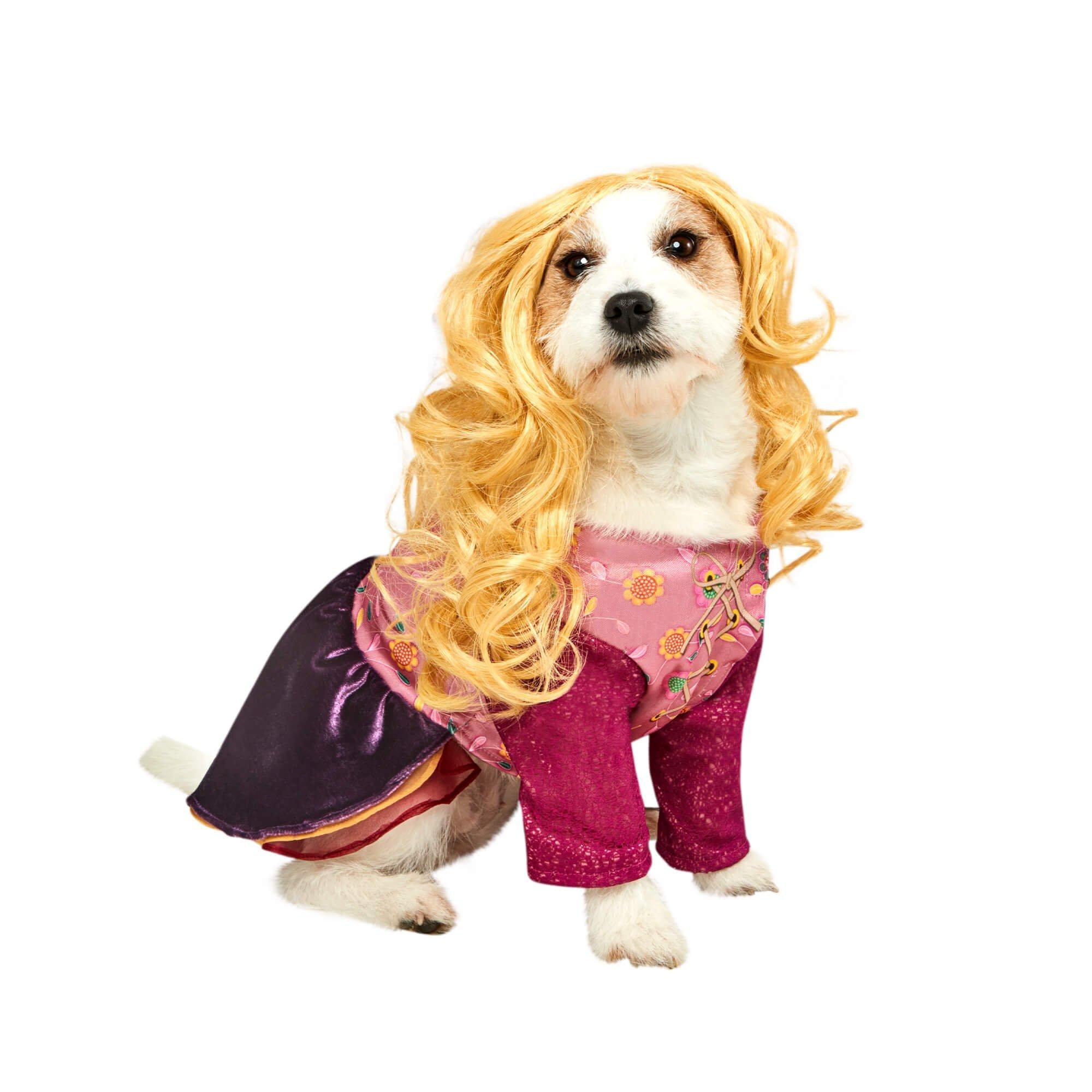 Hocus Pocus Sarah Pet Costume