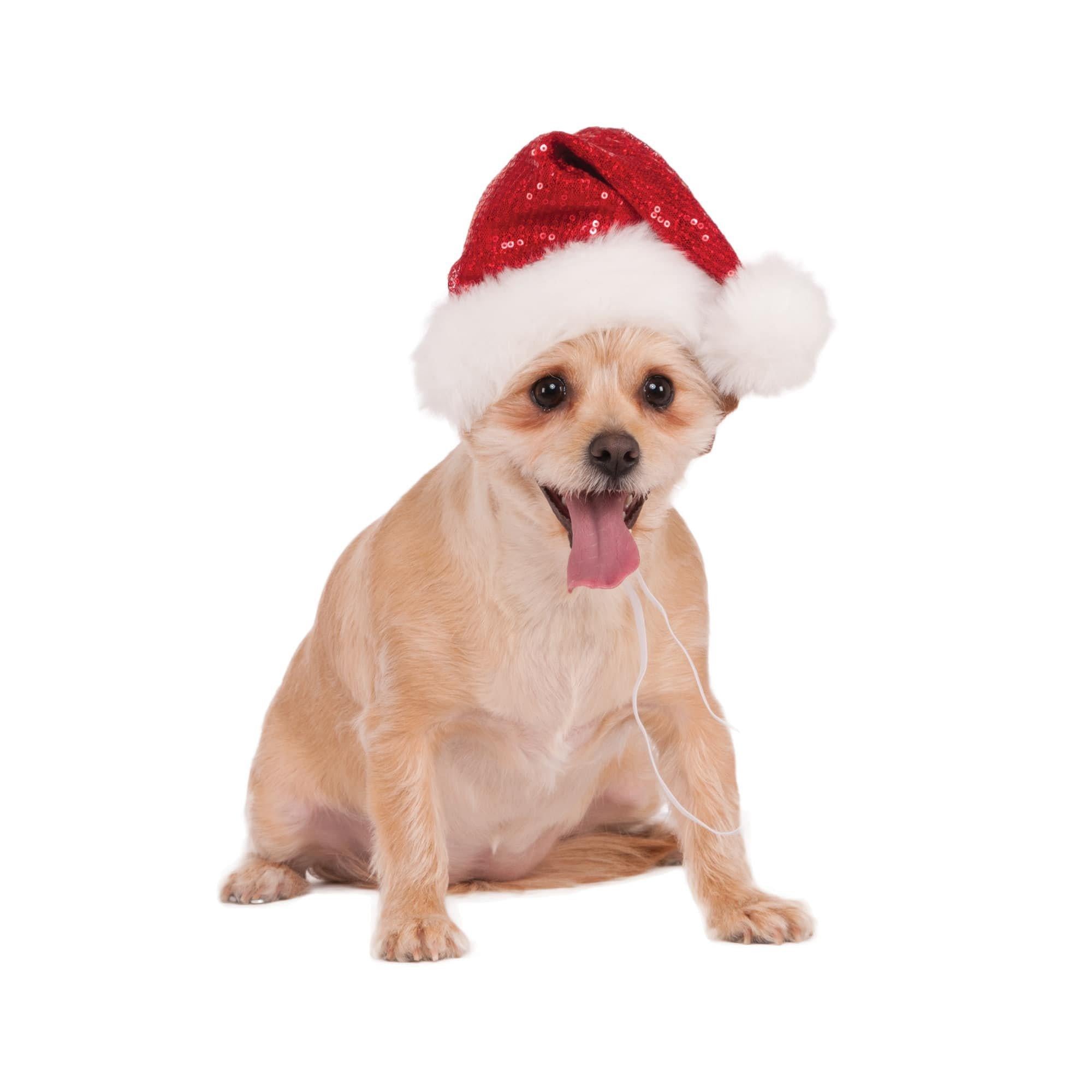 Red Sequin Pet Santa Hat