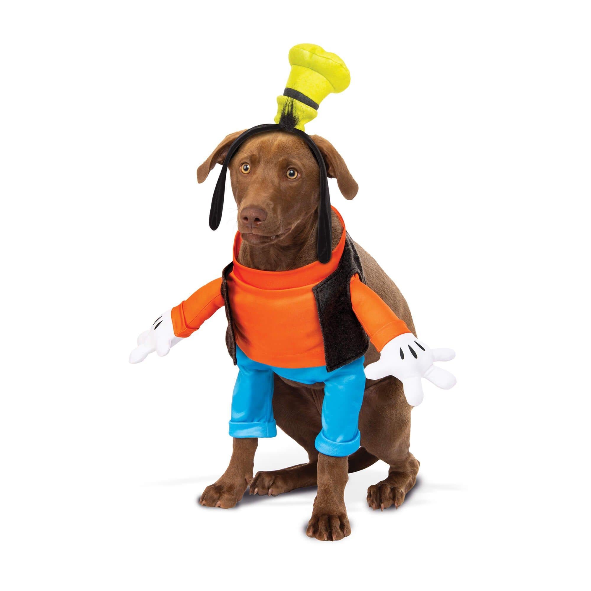 Goofy Dog Costume